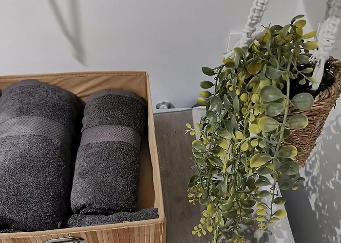 Reims - Idéal Pour Pro En Déplacement *wifi Rapide *vue Panoramique *parking Facile