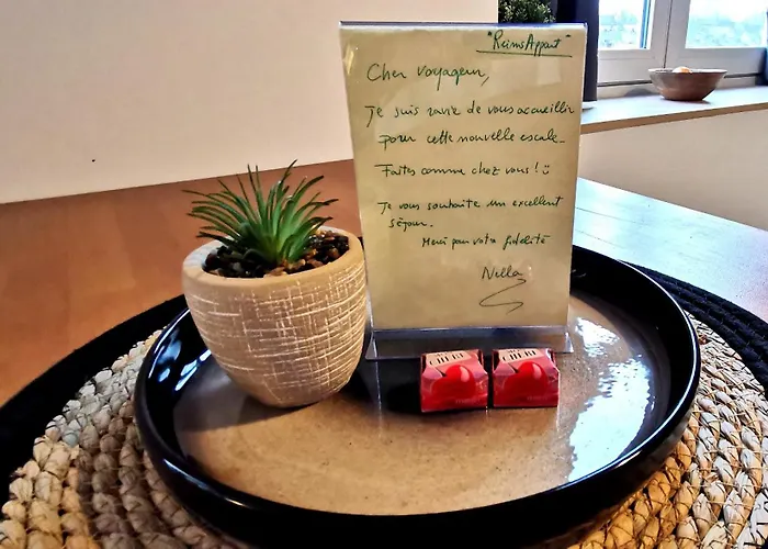 Appartement Reims - Idéal Pour Pro En Déplacement *wifi Rapide *vue Panoramique *parking Facile *